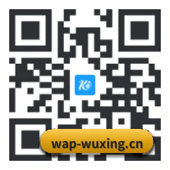系统版 iOS 二维码