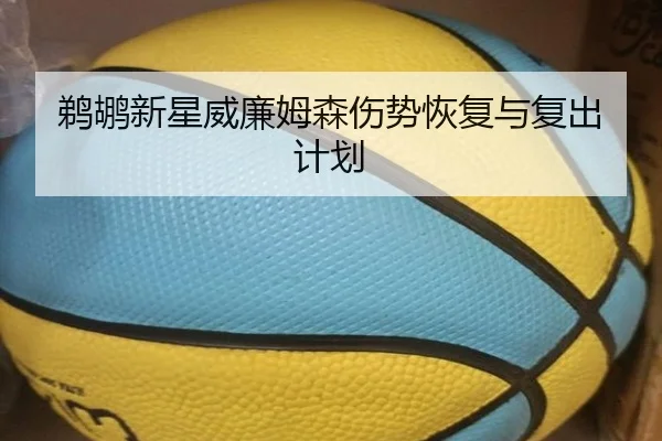 鹈鹕新星威廉姆森伤势恢复与复出计划